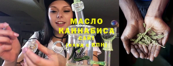 индика Иннополис