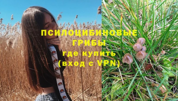 PSILOCYBIN Инта