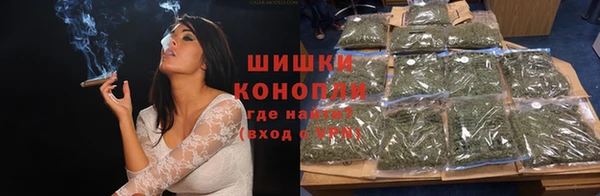 индика Иннополис