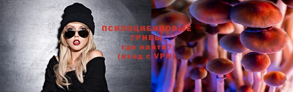 PSILOCYBIN Инта