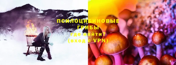 PSILOCYBIN Инта