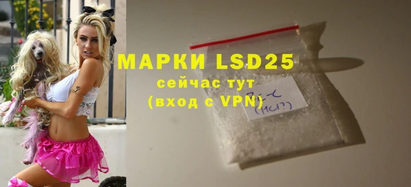 PSILOCYBIN Инта