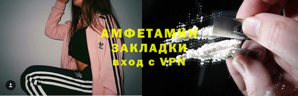индика Иннополис
