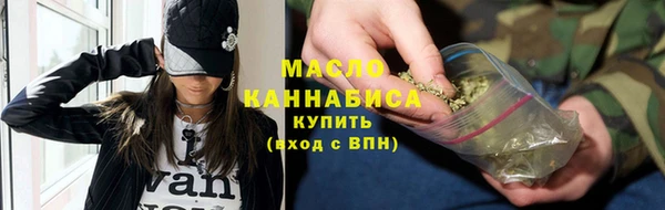 тгк Инсар