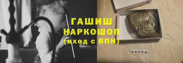 индика Иннополис