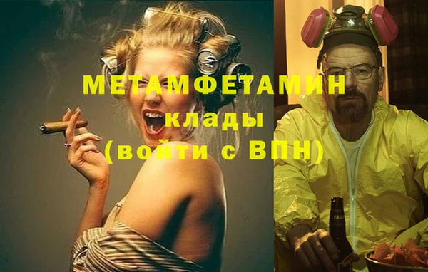PSILOCYBIN Инта