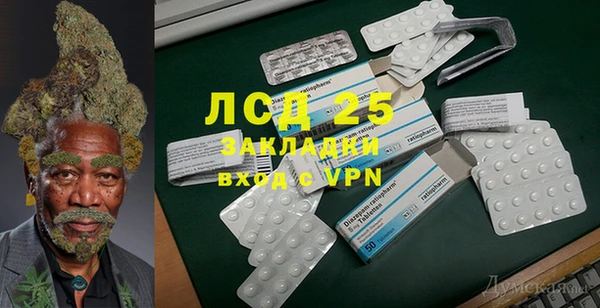 тгк Инсар