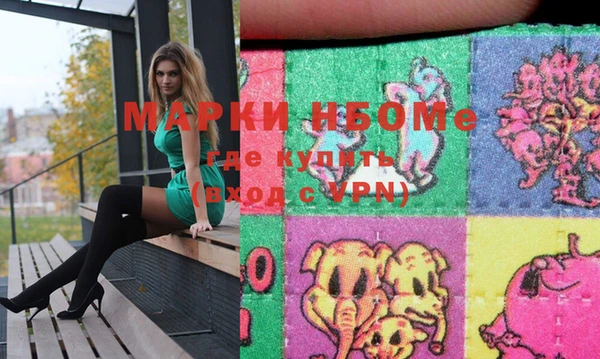 индика Иннополис