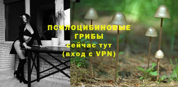 индика Иннополис
