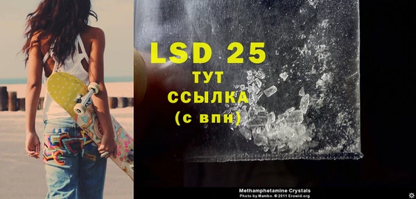 PSILOCYBIN Инта