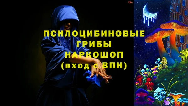 индика Иннополис