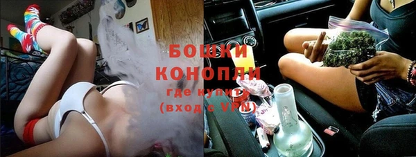 индика Иннополис