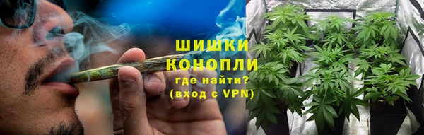 PSILOCYBIN Инта