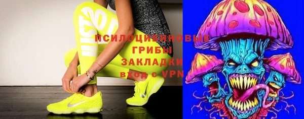 индика Иннополис