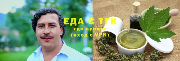 тгк Инсар